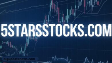 5StarsStocks.com