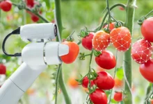 Smart Tools for Precision Fruit Tree Care