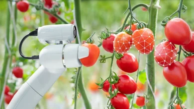 Smart Tools for Precision Fruit Tree Care