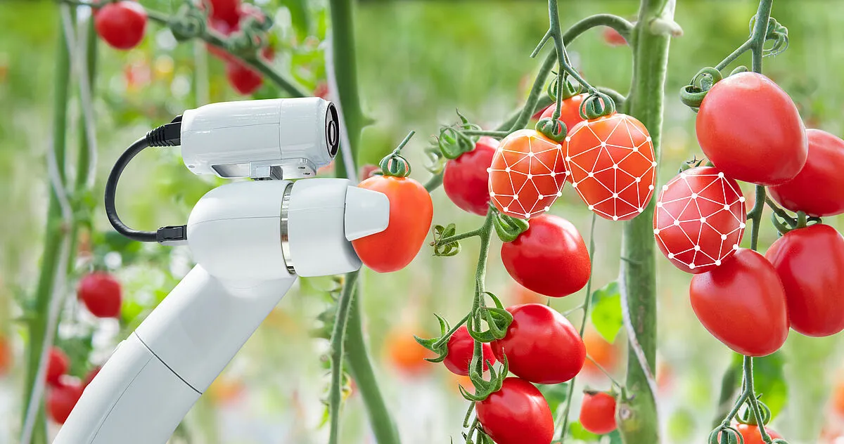 Smart Tools for Precision Fruit Tree Care